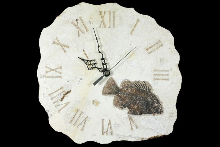 Wide Clock With Cockerellites Fish Fossil - Wyoming #132878